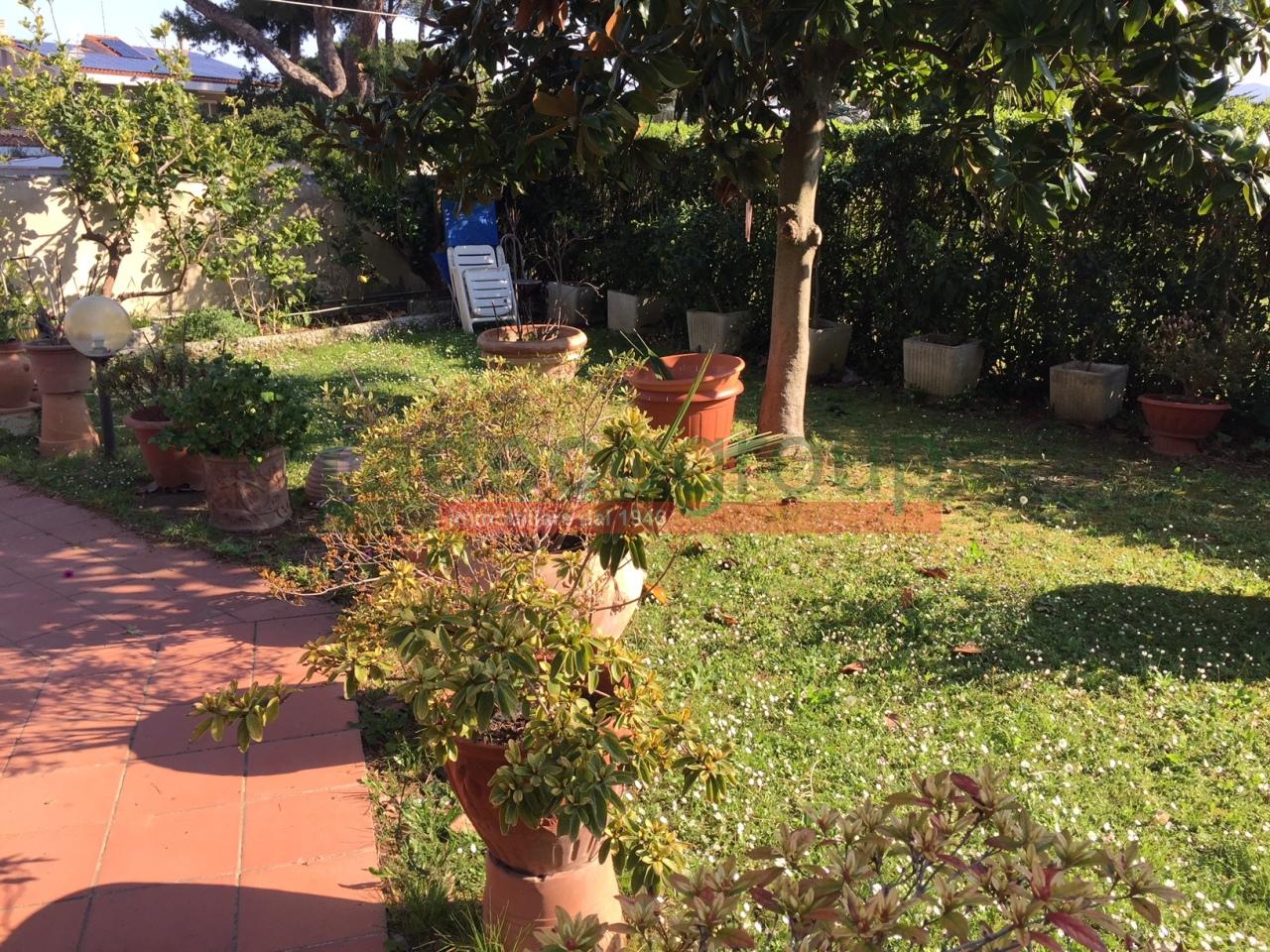 Vendita Pentavani, Livorno Vendita Pentavani, Livorno foto