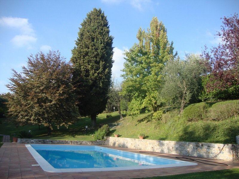 Vendita Multivani, Sarzana foto