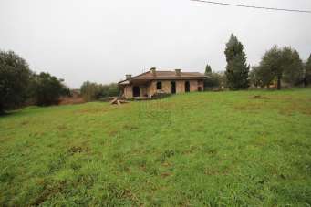 Vendita Eptavani, Capannori