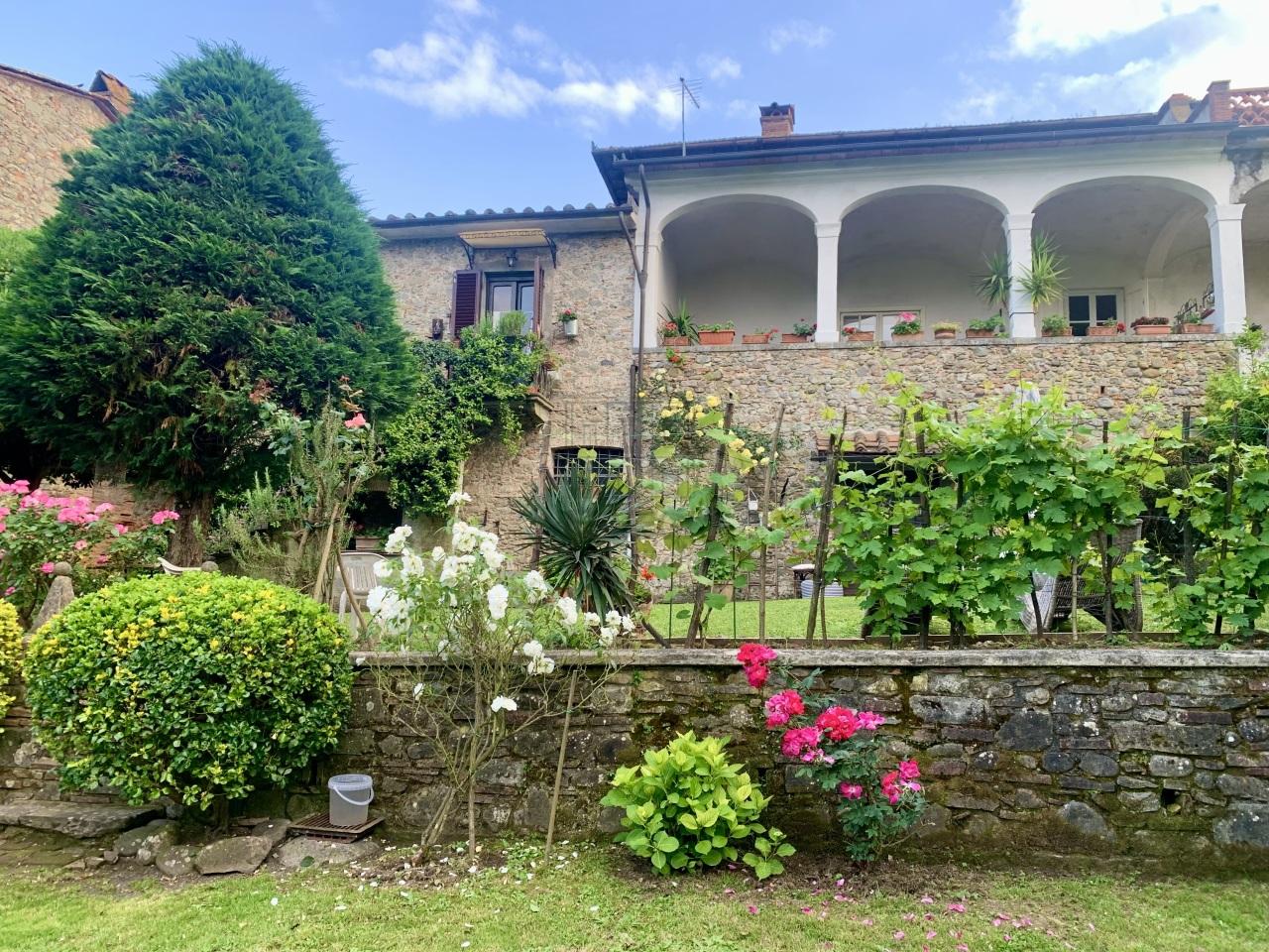 Vendita Multivani, Capannori foto