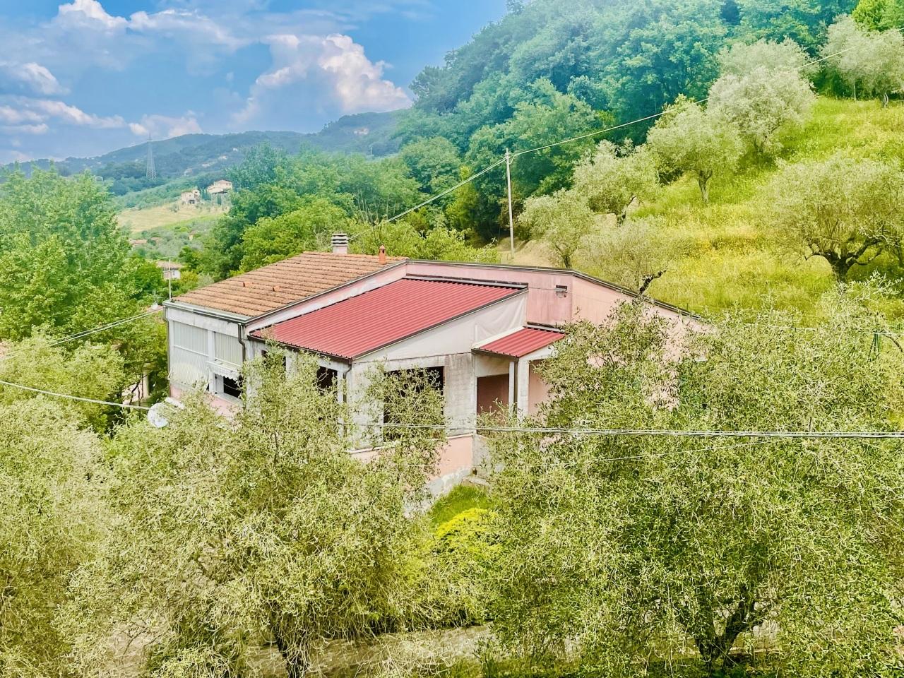 Vendita Multivani, Sarzana foto