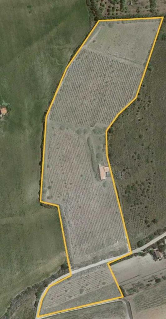 Vendita Trivani, Sorso Vendita Trivani, Sorso foto