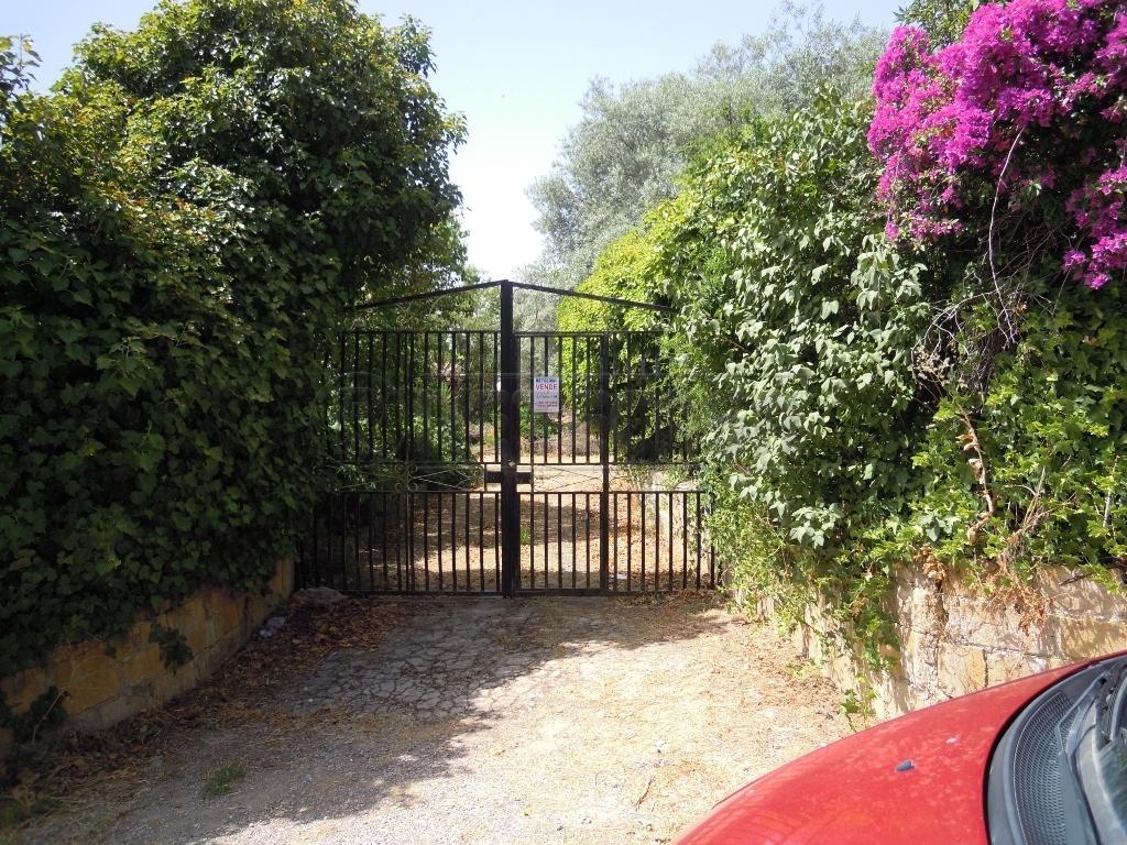 Vendita Multivani, Caltanissetta foto