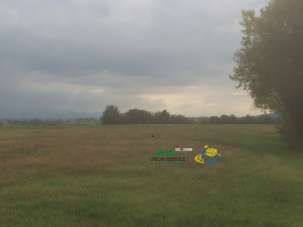 Vendita Industriale, Noceto Vendita Industriale, Noceto