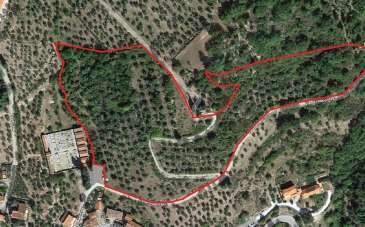 Vendita Terreni, Pelago