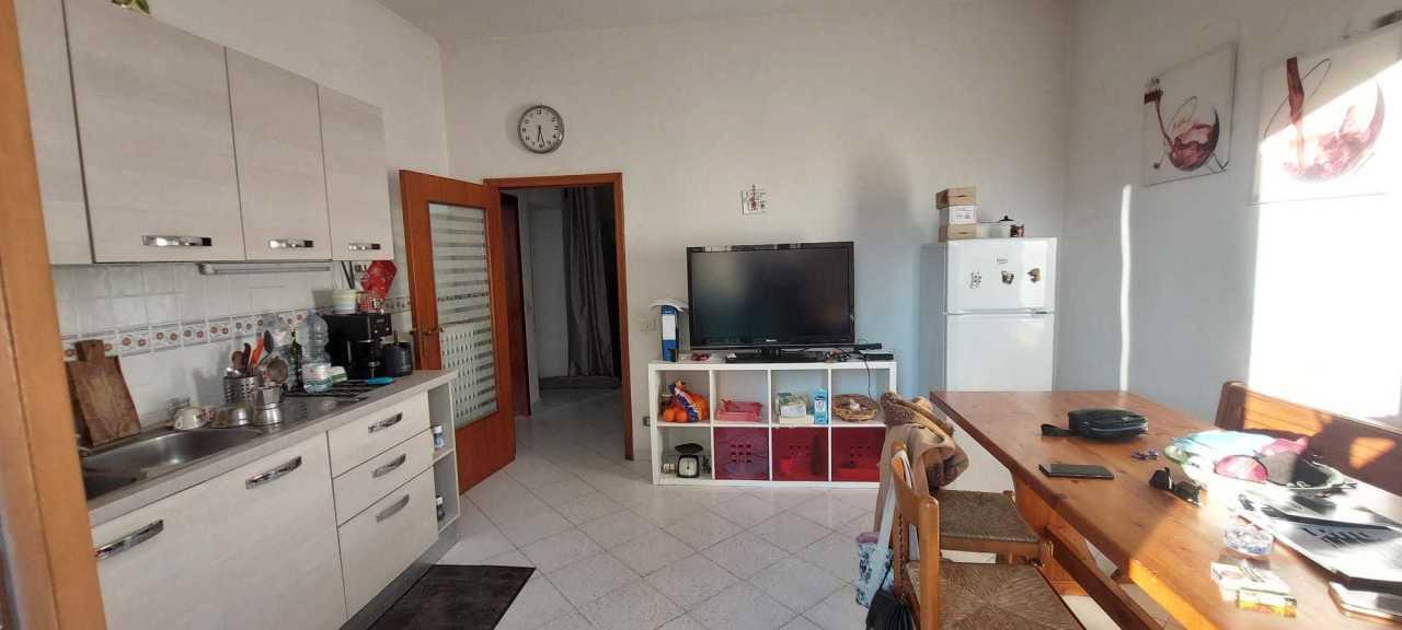 Vendita Eptavani, Asciano Vendita Eptavani, Asciano foto