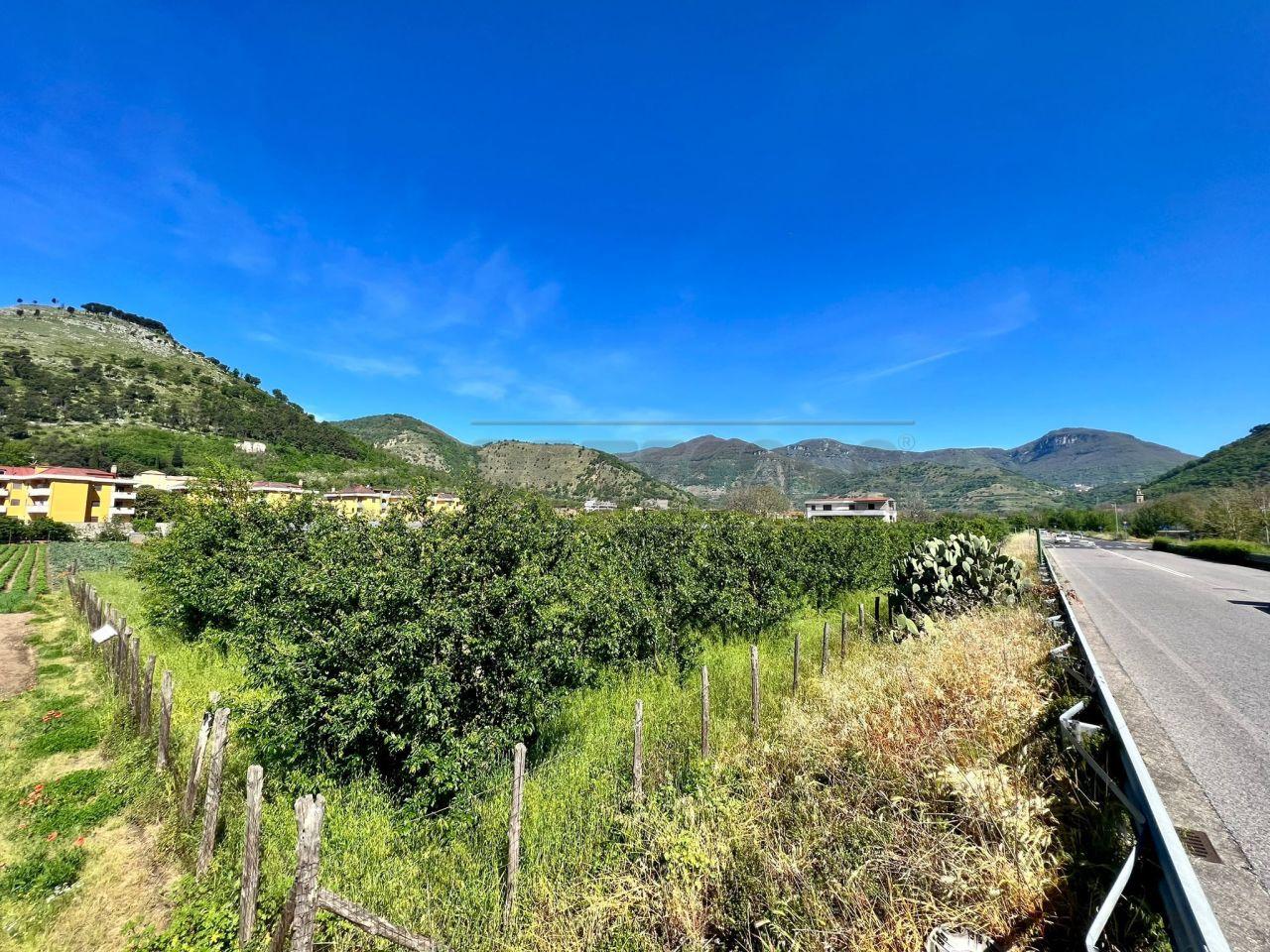 Verkauf Land, Castel San Giorgio foto