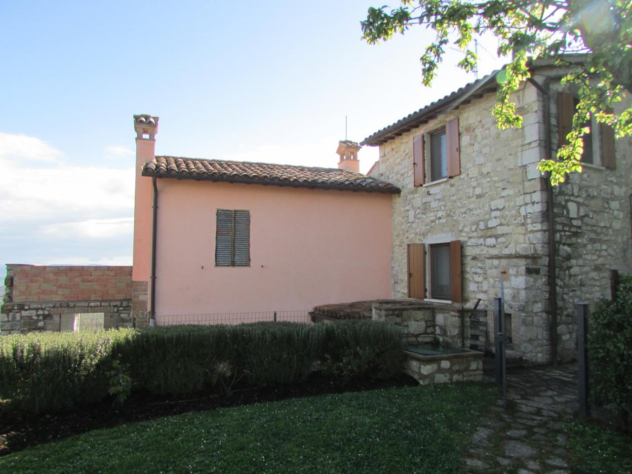 Vendita Multivani, Todi foto