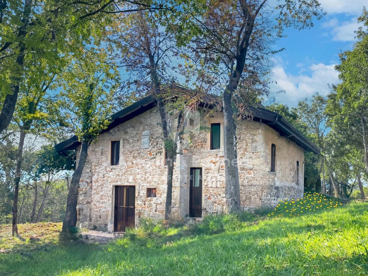 Vendita Esavani, Baschi foto