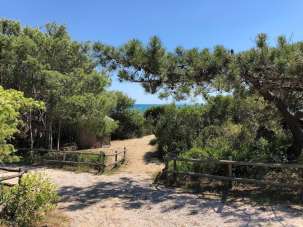 Affitto Pentavani, Castiglione della Pescaia