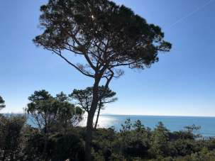 Affitto Quadrivani, Castiglione della Pescaia Affitto Quadrivani, Castiglione della Pescaia