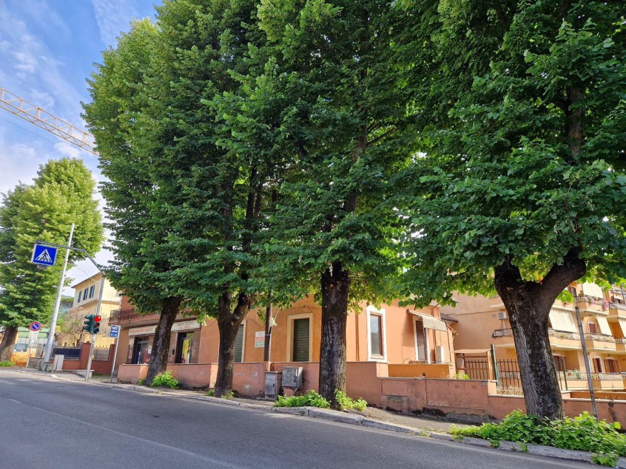 Vendita Case, Grottaferrata foto
