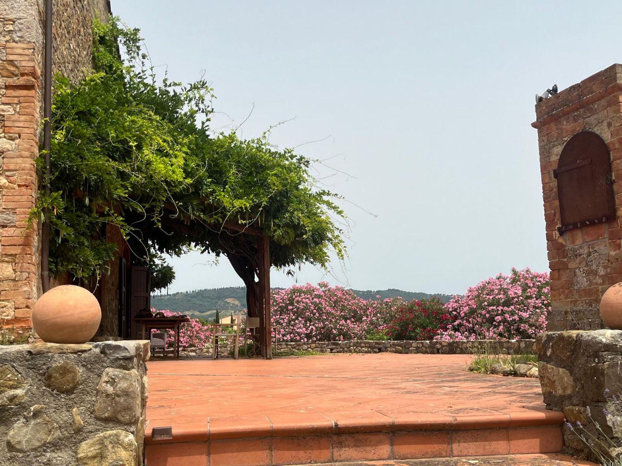 Vendita Rustico, Campagnatico foto