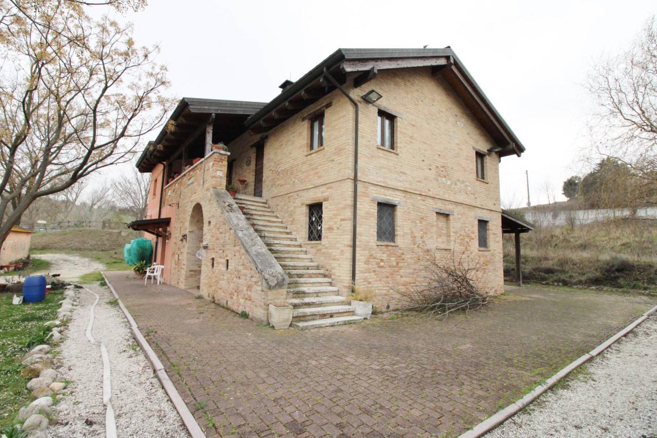 Sale Rustico, Castel di Lama foto