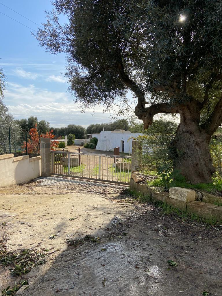Vendita Villa, Ostuni foto