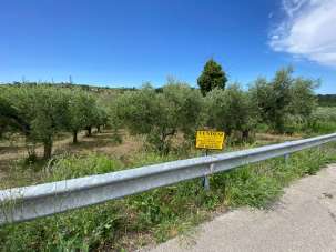 Vendita Terreno, Cupello