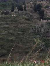Vendita Terreno, Messina Vendita Terreno, Messina