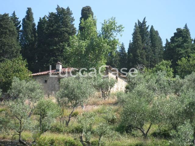 Vendita Rustico, Montemurlo foto