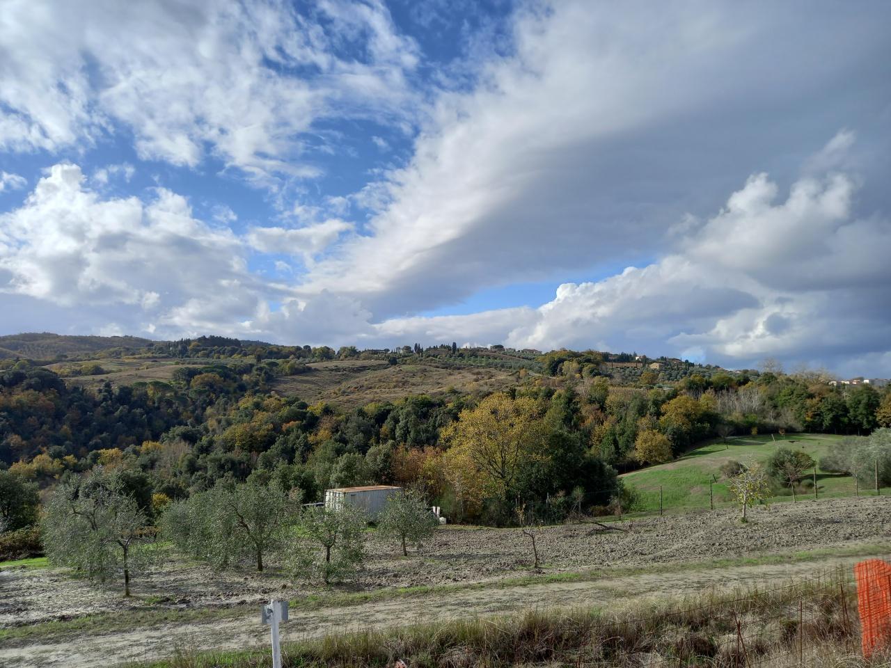 Vendita Rustico, Montaione foto