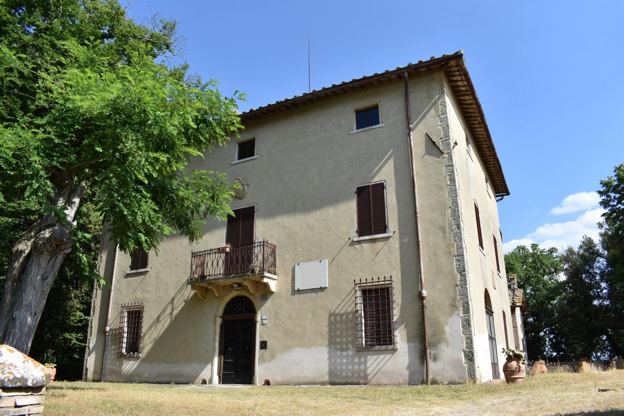 Vendita Attività commerciale, San Gimignano foto