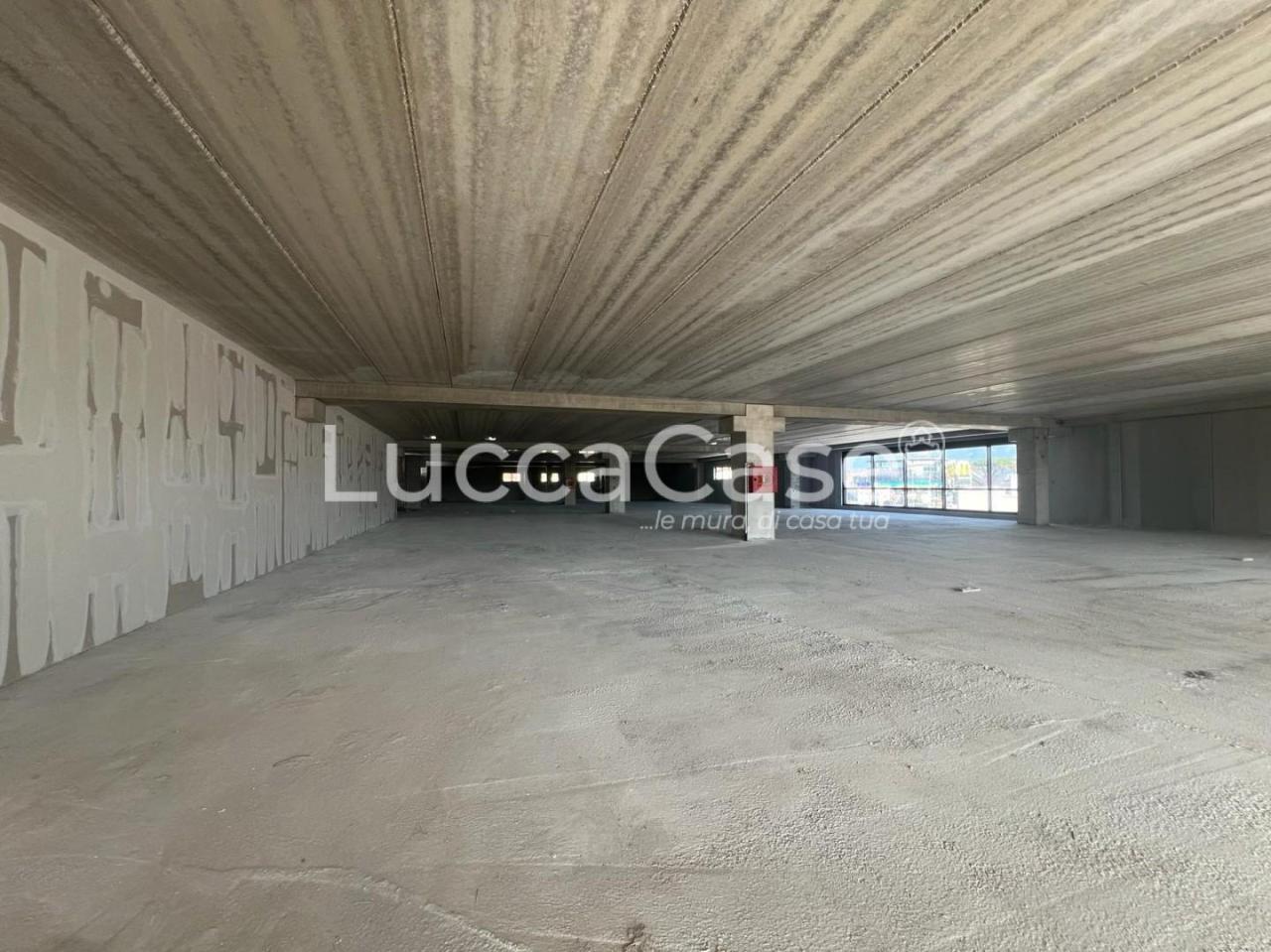 Affitto Capannone, Camaiore foto