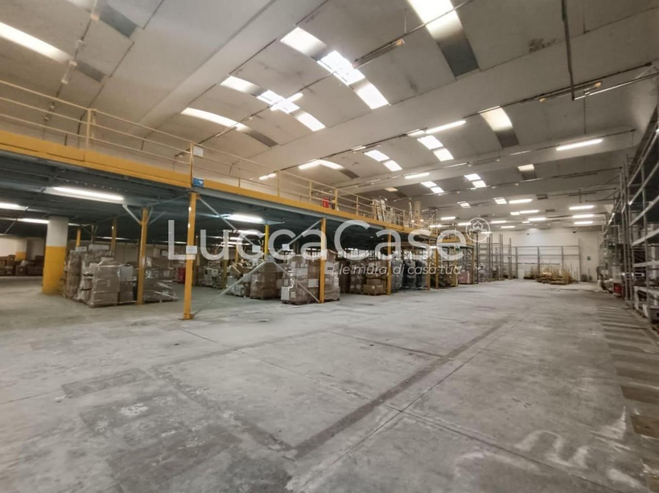 Affitto Capannone, Lucca Affitto Capannone, Lucca foto