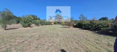 Vendita Terreno, Anguillara Sabazia Vendita Terreno, Anguillara Sabazia