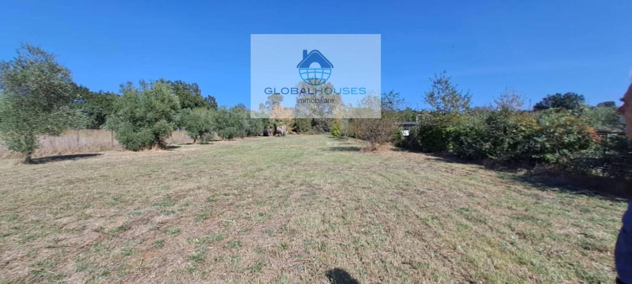 Vendita Terreno, Anguillara Sabazia foto
