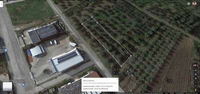 Vendita Attività commerciale, Cupello