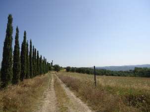 Vendita Rustico, Castelfiorentino