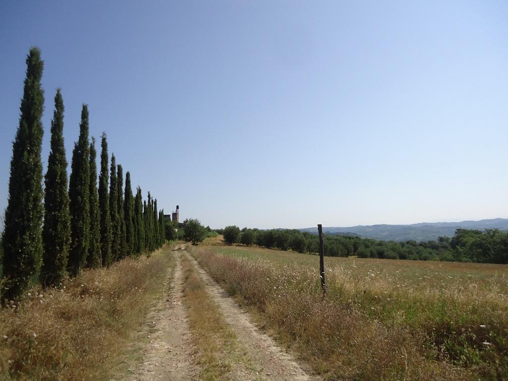Vendita Rustico, Castelfiorentino foto
