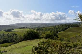 Vendita Rustico, Certaldo Vendita Rustico, Certaldo