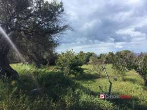 Vendita Terreno, Messina