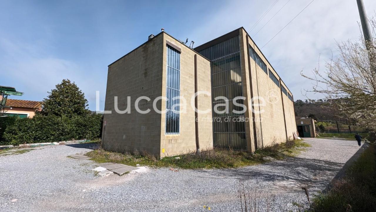 Affitto Capannone, Lucca Affitto Capannone, Lucca foto