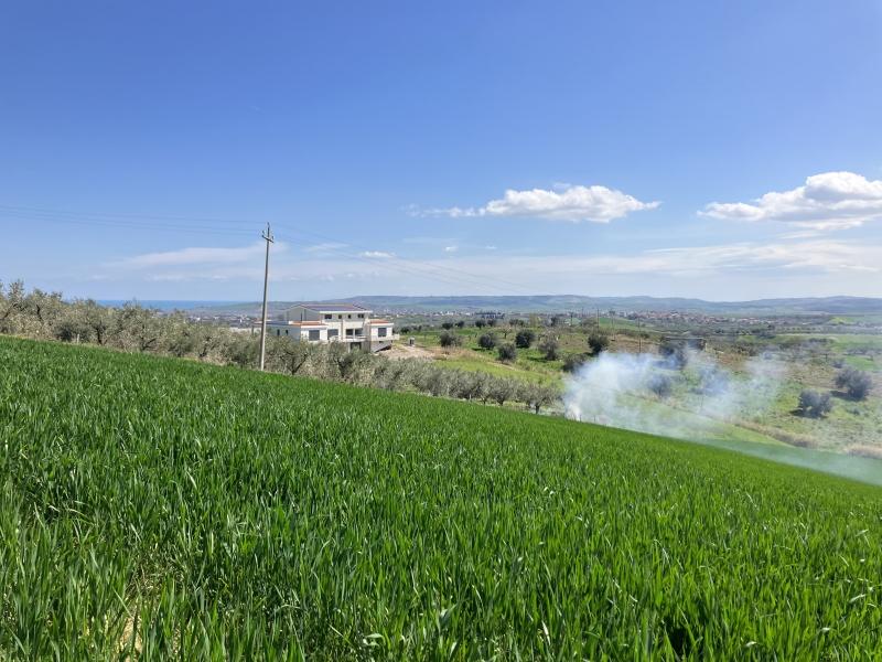 Vendita Terreno, Vasto foto