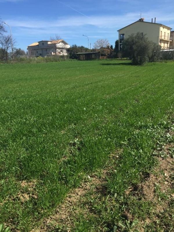 Vendita Terreno, San Salvo foto