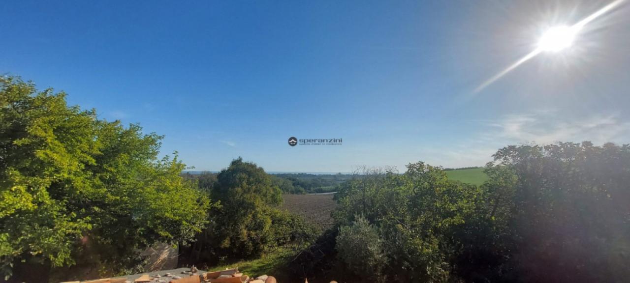 Vendita Esavani, Fano foto