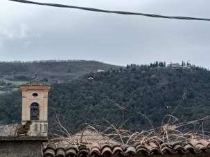 Vendita Trivani, Fossombrone