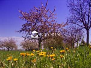 Vendita Case, San Pietro di Feletto