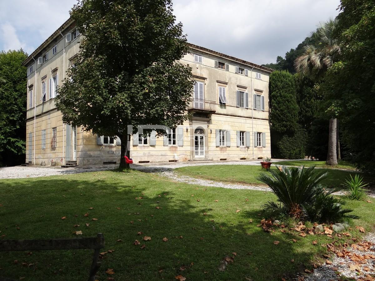 Vendita Multivani, Lucca foto