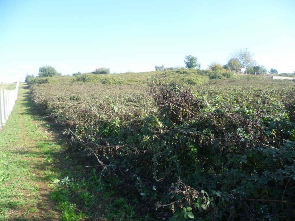Vendita Altri immobili, San Cesareo Vendita Altri immobili, San Cesareo foto