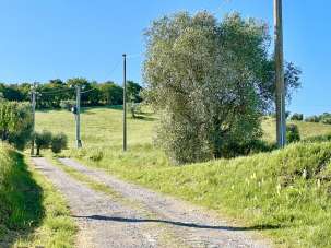 Vendita Altri immobili, Grosseto Vendita Altri immobili, Grosseto