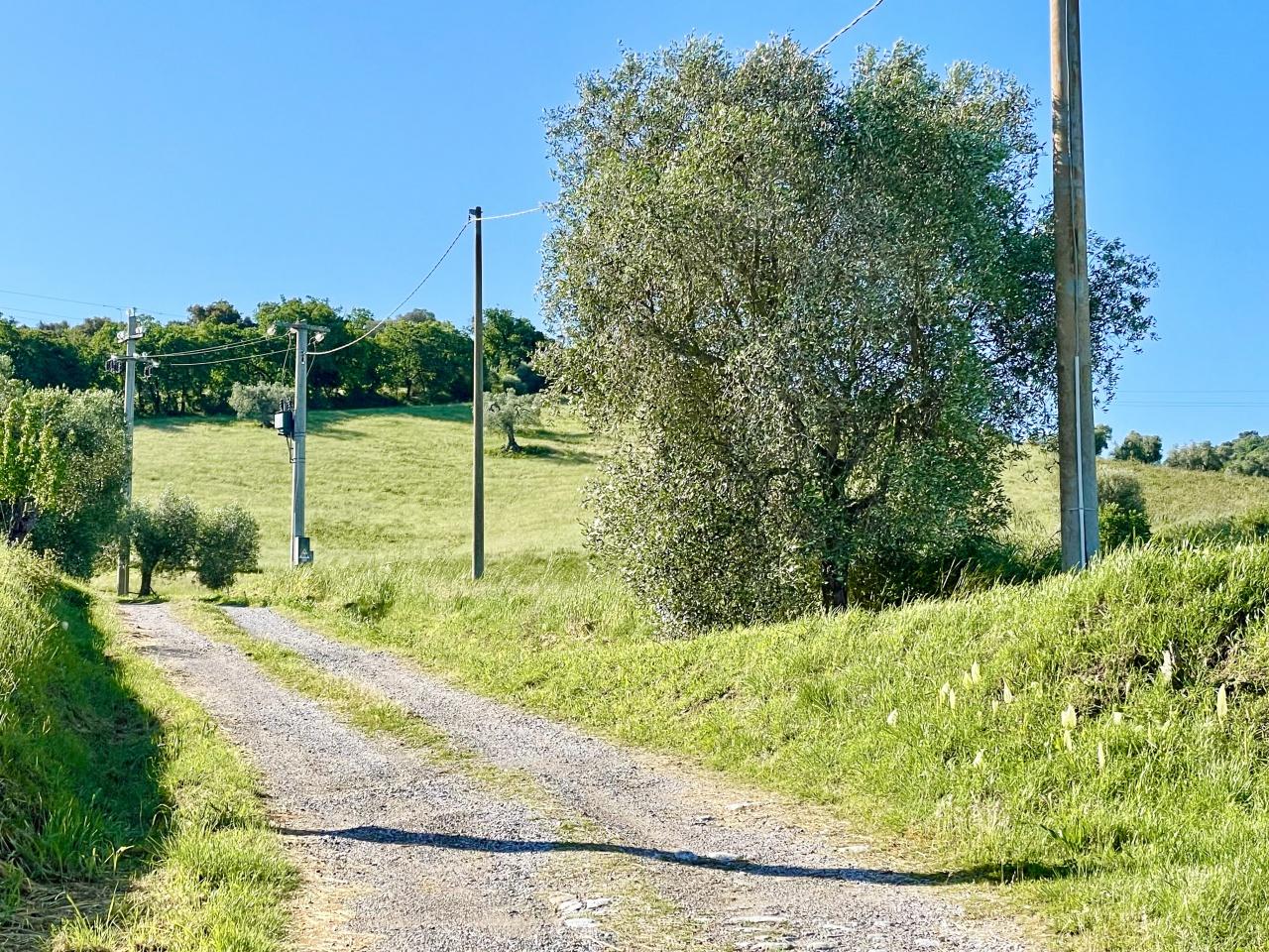 Vendita Altri immobili, Grosseto foto