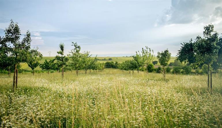 Vendita Monovano, Roma Vendita Monovano, Roma foto