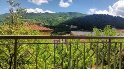 Vendita Quadrivani, Fossombrone