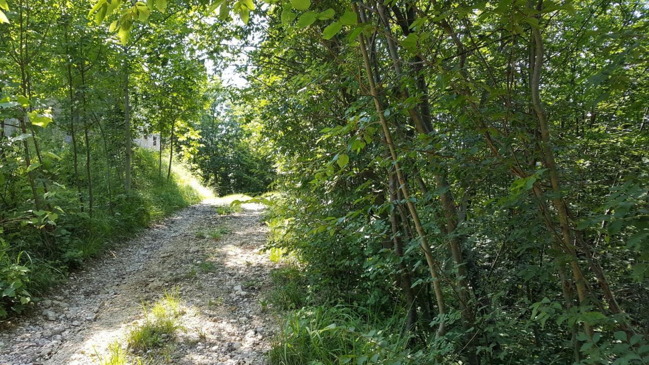 Vendita Quadrivani, Cornuda foto