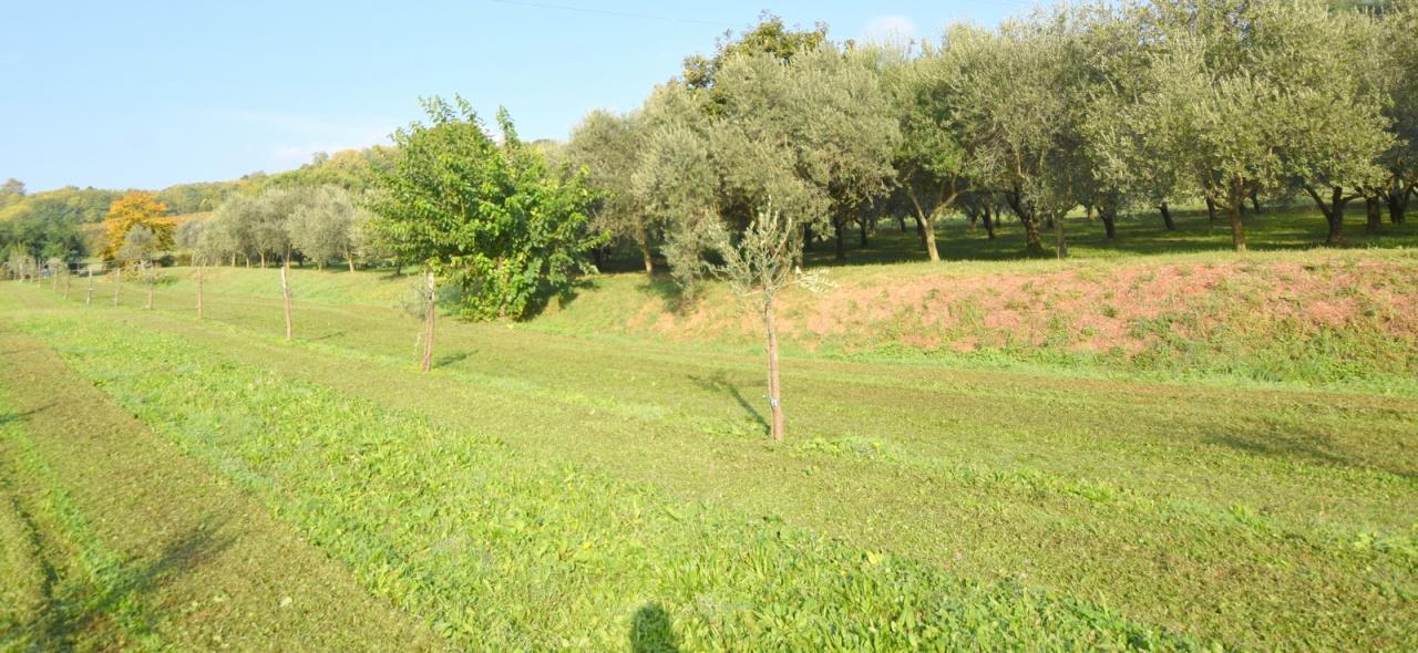 Vendita Altri immobili, Volpago del Montello Vendita Altri immobili, Volpago del Montello foto