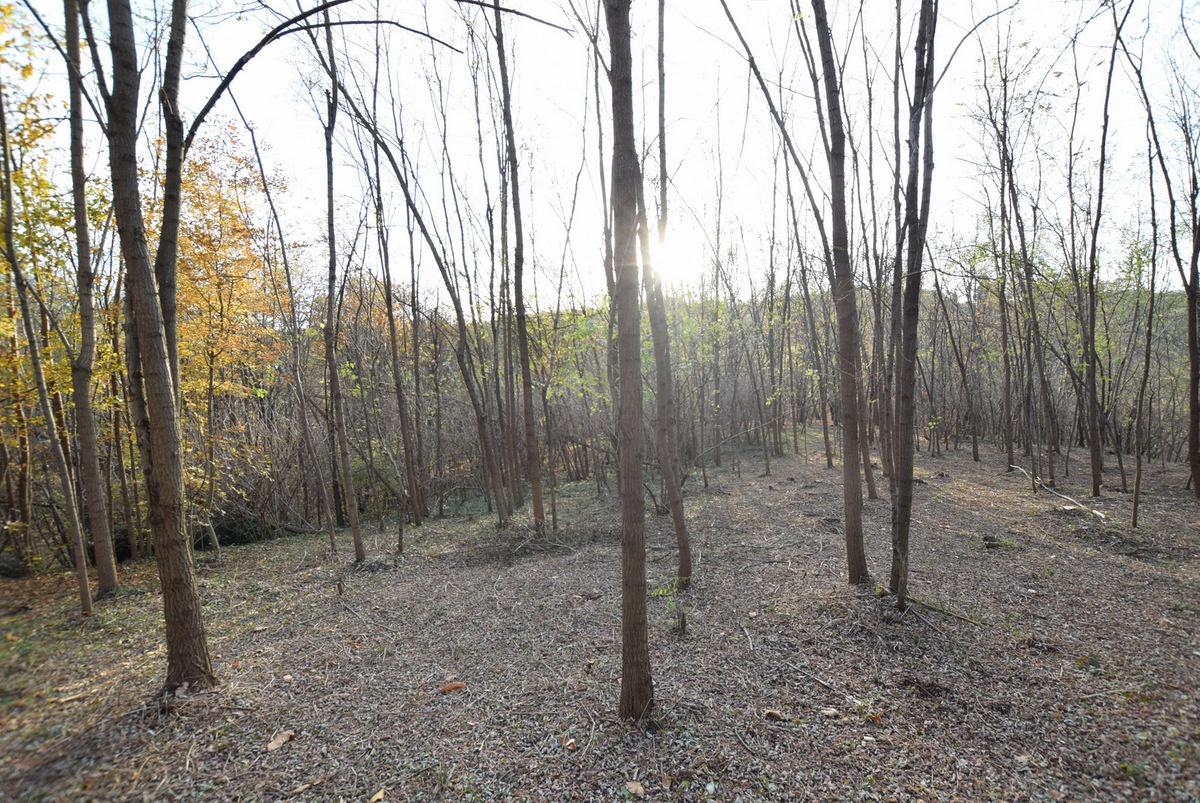 Vendita Altri immobili, Volpago del Montello Vendita Altri immobili, Volpago del Montello foto