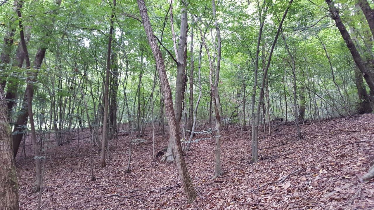 Vendita Altri immobili, Volpago del Montello foto