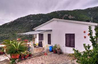 Vendita Case, Campo nell'Elba Vendita Case, Campo nell'Elba